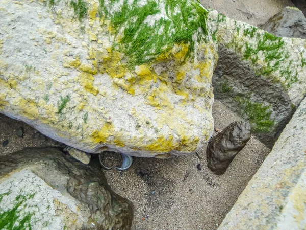 Beautiful Wadden Sea Tidelands Coast Beach Water Stones Rocks Boulders — 스톡 사진