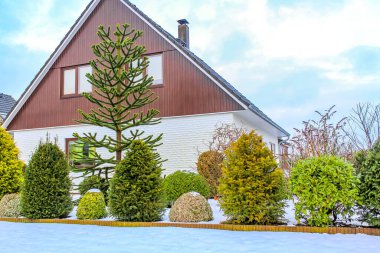 Muhteşem kar yağışı ve buz manzarası. Ağaçlar mavi gökyüzü ve Leherheide Bremerhaven Bremen Almanya 'sında bir kasaba..