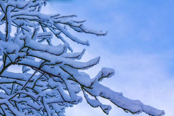 Дивовижний Сніжний Зимовий Сніг Льодовикова Панорама Деревами Блакитне Небо Місто — стокове фото