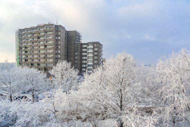 Muhteşem kar yağışı ve buz manzarası. Ağaçlar mavi gökyüzü ve Leherheide Bremerhaven Bremen Almanya 'sında bir kasaba..