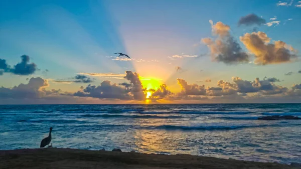 Amazing Beautiful Golden Yellow Colorful Sunrise Sunset Sunbeams Tropical Beach — Stock Photo, Image