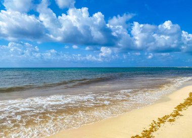 Playa del Carmen Mexico 'da berrak turkuaz mavi suyu olan tropik Meksika sahili manzarası..