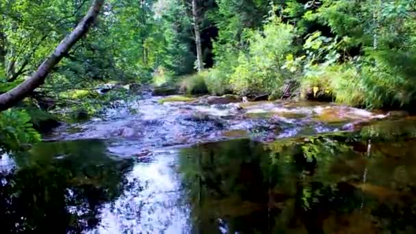 Pequena Cachoeira Rio Fluxo Paisagem Panorama Sobre Montanha Brocken Parque — Vídeo de Stock