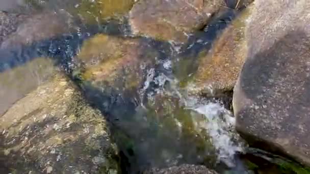 Small Waterfall River Stream Landscape Panorama Brocken Mountain National Park — Stockvideo