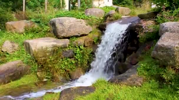 Pequena Cachoeira Rio Fluxo Paisagem Panorama Sobre Montanha Brocken Parque — Vídeo de Stock