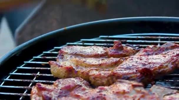 Barbecue Bbq Kampvuur Worsten Vleessteak Kip Bereiden Speckenbtteler Park Lehe — Stockvideo