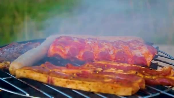 Preparing Barbeque Bbq Campfire Sausages Meat Steak Chicken Speckenbtteler Park — Wideo stockowe