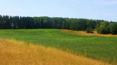 Kuzey Alman tarla ormanı ve doğa manzarası Hemmoor Hechthausen Cuxhaven Aşağı Saksonya Almanya 'sı.