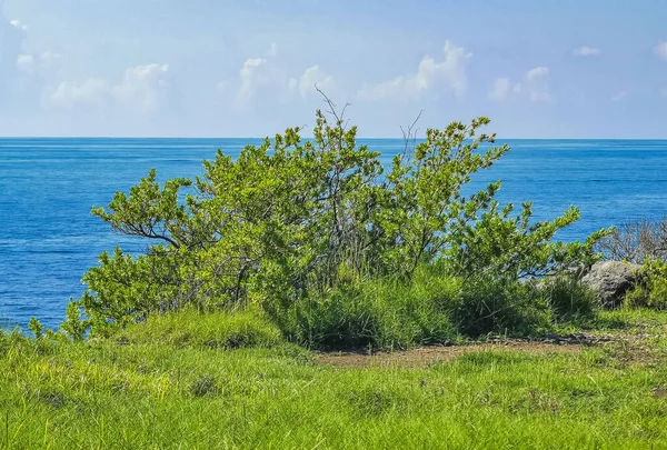 Antik Tulum 'daki doğal deniz manzarası, Tulum Meksika' daki tropikal doğal orman palmiyesinde tapınak kalıntıları ve eserlerle Maya bölgesini harap ediyor..