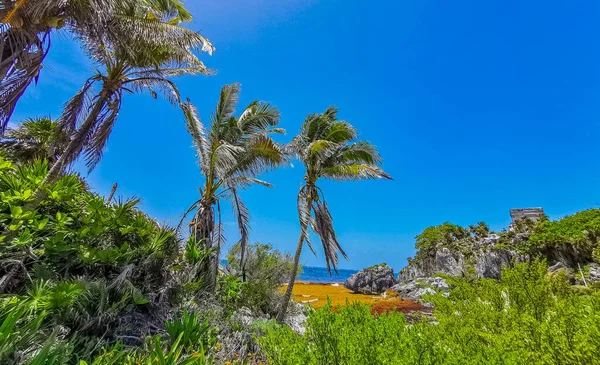 Vista Panorâmica Natural Paisagem Marinha Praia Nas Antigas Ruínas Tulum — Fotografia de Stock