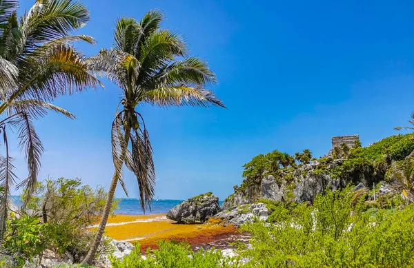 Vista Panorâmica Natural Paisagem Marinha Praia Nas Antigas Ruínas Tulum — Fotografia de Stock