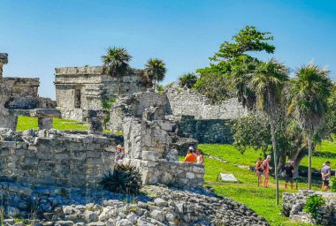 Tulum Meksika 24. Haziran 2022 Antik Tulum, Tulum Meksika 'da tropikal doğal orman palmiyesi ve deniz manzarası üzerindeki kalıntılar ve tapınak kalıntıları ile Maya bölgesini harap etti..