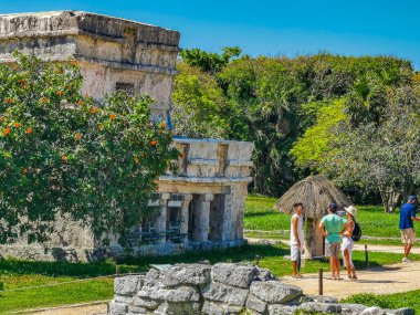 Tulum Meksika 24. Haziran 2022 Antik Tulum, Tulum Meksika 'da tropikal doğal orman palmiyesi ve deniz manzarası üzerindeki kalıntılar ve tapınak kalıntıları ile Maya bölgesini harap etti..