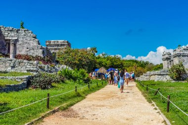 Tulum Meksika 24. Haziran 2022 Antik Tulum, Tulum Meksika 'da tropikal doğal orman palmiyesi ve deniz manzarası üzerindeki kalıntılar ve tapınak kalıntıları ile Maya bölgesini harap etti..