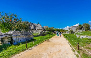 Tulum Meksika 24. Haziran 2022 Antik Tulum, Tulum Meksika 'da tropikal doğal orman palmiyesi ve deniz manzarası üzerindeki kalıntılar ve tapınak kalıntıları ile Maya bölgesini harap etti..