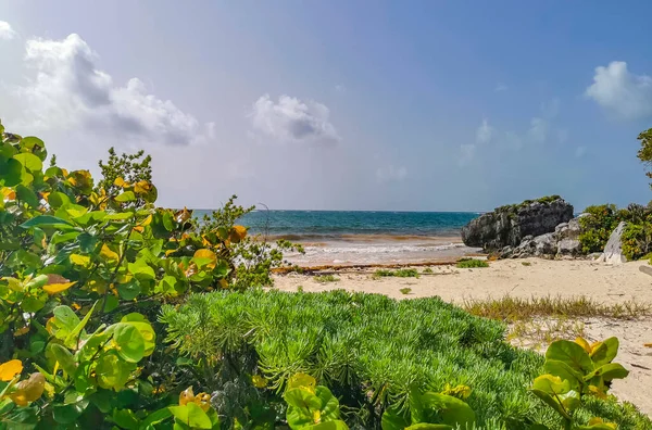 Natural Seascape Beach Panorama View Ancient Tulum Ruins Mayan Site — Stock Photo, Image