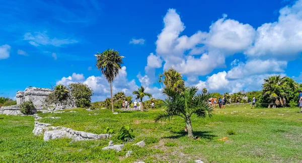 Tulum Meksika 26. Haziran 2022 Antik Tulum, Tulum Meksika 'da tropikal doğal orman palmiyesi ve deniz manzarası üzerindeki kalıntılar ve tapınak kalıntıları ile Maya bölgesini harap etti..