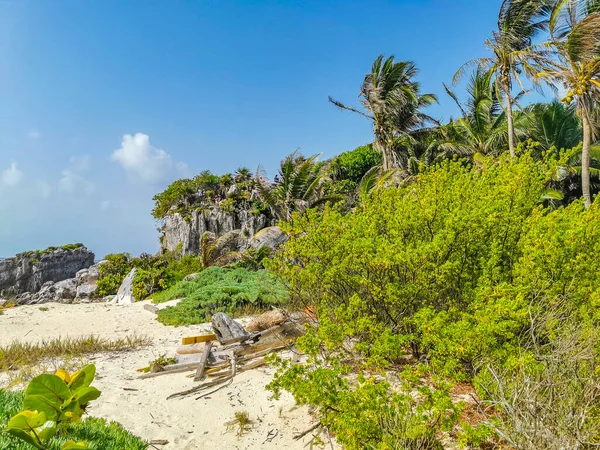 Natural Seascape Beach Panorama View Ancient Tulum Ruins Mayan Site — Stock Photo, Image