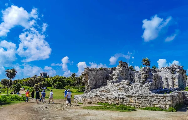 Tulum Meksika 26. Haziran 2022 Antik Tulum, Tulum Meksika 'da tropikal doğal orman palmiyesi ve deniz manzarası üzerindeki kalıntılar ve tapınak kalıntıları ile Maya bölgesini harap etti..