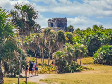Tulum Mexico 11. Nisan 2022 Antik Tulum, Tulum Meksika 'daki tropikal doğal orman palmiyesi ve deniz manzarasında tapınak kalıntıları ve eserlerle Maya bölgesini harap etti..