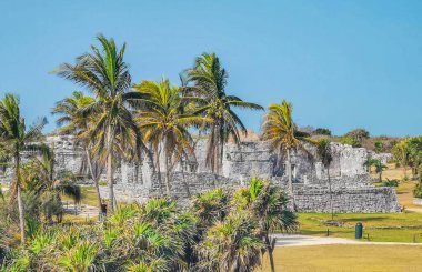 Antik Tulum, Tulum Meksika 'daki tropikal doğal orman palmiyesi ve deniz manzarasında tapınak kalıntıları ve eserlerle Maya bölgesini harabeye çeviriyor..