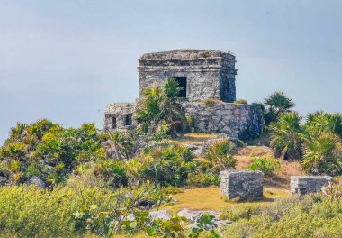 Antik Tulum, Tulum Meksika 'daki tropikal doğal orman palmiyesi ve deniz manzarasında tapınak kalıntıları ve eserlerle Maya bölgesini harabeye çeviriyor..