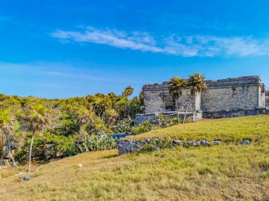 Antik Tulum, Tulum Meksika 'daki tropikal doğal orman palmiyesi ve deniz manzarasında tapınak kalıntıları ve eserlerle Maya bölgesini harabeye çeviriyor..