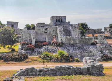 Antik Tulum, Tulum Meksika 'daki tropikal doğal orman palmiyesi ve deniz manzarasında tapınak kalıntıları ve eserlerle Maya bölgesini harabeye çeviriyor..