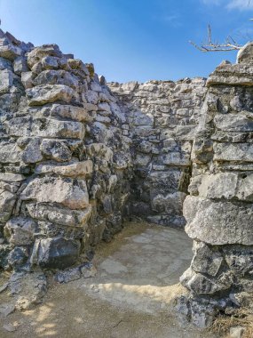 Antik Tulum, Tulum Meksika 'daki tropikal doğal orman palmiyesi ve deniz manzarasında tapınak kalıntıları ve eserlerle Maya bölgesini harabeye çeviriyor..