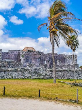 Antik Tulum, Tulum Meksika 'daki tropikal doğal orman palmiyesi ve deniz manzarasında tapınak kalıntıları ve eserlerle Maya bölgesini harabeye çeviriyor..