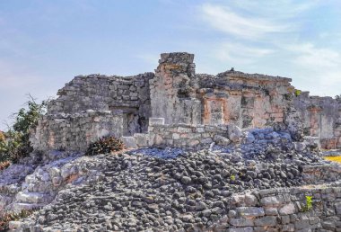 Antik Tulum, Tulum Meksika 'daki tropikal doğal orman palmiyesi ve deniz manzarasında tapınak kalıntıları ve eserlerle Maya bölgesini harabeye çeviriyor..