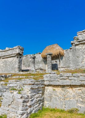 Antik Tulum, Tulum Meksika 'daki tropikal doğal orman palmiyesi ve deniz manzarasında tapınak kalıntıları ve eserlerle Maya bölgesini harabeye çeviriyor..