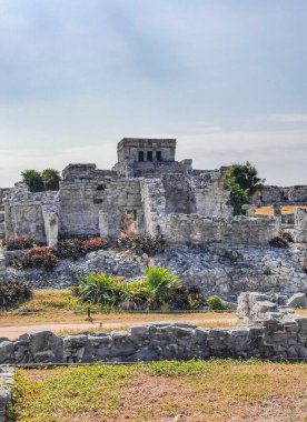 Antik Tulum, Tulum Meksika 'daki tropikal doğal orman palmiyesi ve deniz manzarasında tapınak kalıntıları ve eserlerle Maya bölgesini harabeye çeviriyor..