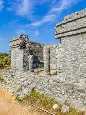Antik Tulum, Tulum Meksika 'daki tropikal doğal orman palmiyesi ve deniz manzarasında tapınak kalıntıları ve eserlerle Maya bölgesini harabeye çeviriyor..