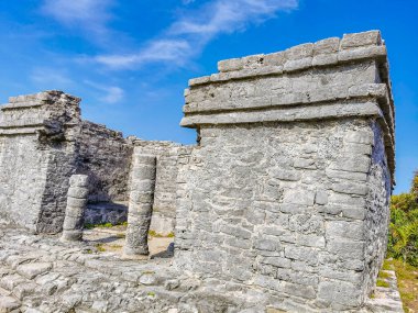 Antik Tulum, Tulum Meksika 'daki tropikal doğal orman palmiyesi ve deniz manzarasında tapınak kalıntıları ve eserlerle Maya bölgesini harabeye çeviriyor..