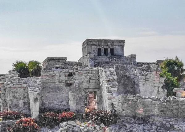 Ancient Tulum Ruins Mayan Site Temple Ruins Pyramids Artifacts Tropical —  Fotos de Stock