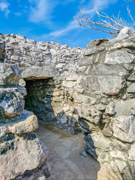 Antiche Rovine Tulum Sito Maya Con Rovine Templi Piramidi Manufatti — Foto Stock