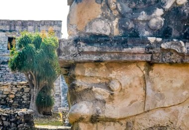 Antik Tulum, tapınak kalıntıları ve tarihi eserlerle Maya bölgesini harabeye çeviriyor. Tanrıça Ixchel, Tulum Mexico 'daki Tanrı & chaac manzarasından iniyor..