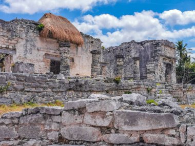 Antik Tulum, Tulum Meksika 'daki tropikal doğal orman palmiyesi ve deniz manzarasında tapınak kalıntıları ve eserlerle Maya bölgesini harabeye çeviriyor..