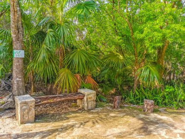Ancient Tulum ruins Mayan site with temple ruins pyramids and artifacts in the tropical natural jungle forest palm and seascape panorama view in Tulum Mexico.