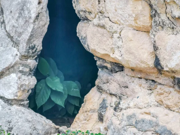 Texture and pattern of the ancient Tulum ruins Mayan site with temple ruins pyramids and artifacts in the tropical natural jungle forest palm and seascape panorama view in Tulum Mexico.