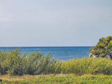 Antik Tulum 'daki doğal deniz manzarası ve plaj manzarası, Tulum Meksika' daki tropikal doğal orman palmiye ağaçları içindeki tapınak kalıntıları ve sanat eserleriyle Maya bölgesini harabeye çeviriyor..