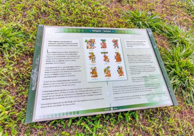 Tulum Meksika 21. Mart 2011 'de Antik Tulum, Tulum Meksika' daki tropikal doğal orman palmiyesindeki piramitler ve tarihi eserler ile Maya bölgesini harap etti..