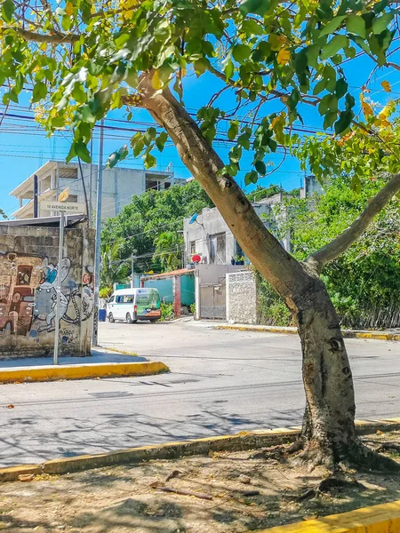Playa Del Carmen Mexico May 2022 Typical Street Road Cityscape — 图库照片