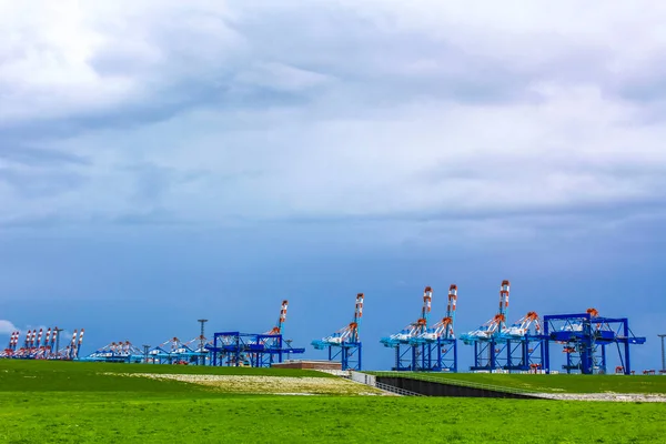 Industrial Area Cranes Red Tower Lighthouse Beautiful Grassland Dike Dyke — 스톡 사진