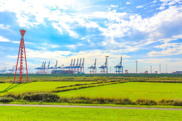 Industrial Area Cranes Red Tower Lighthouse Beautiful Grassland Dike Dyke — 스톡 사진