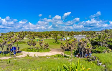 Tulum Meksika 24. Haziran 2022 Antik Tulum, Tulum Meksika 'da tropikal doğal orman palmiyesi ve deniz manzarası üzerindeki kalıntılar ve tapınak kalıntıları ile Maya bölgesini harap etti..