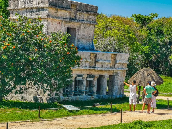 Tulum Mexico June 2022 Ancient Tulum Ruins Mayan Site Temple — 스톡 사진