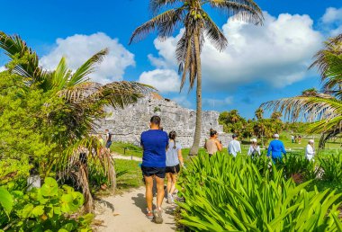 Tulum Meksika 22. Haziran 2022 Antik Tulum, Tulum Meksika 'da tropikal doğal orman palmiyesi ve deniz manzarası üzerindeki kalıntılar ve tapınak kalıntıları ile Maya bölgesini harap etti..