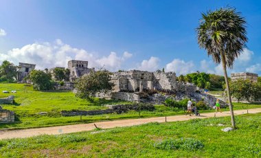 Tulum Meksika 22. Haziran 2022 Antik Tulum, Tulum Meksika 'da tropikal doğal orman palmiyesi ve deniz manzarası üzerindeki kalıntılar ve tapınak kalıntıları ile Maya bölgesini harap etti..